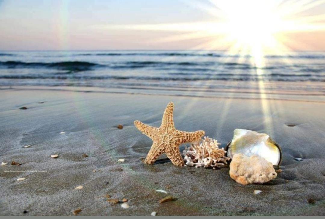 A-19 Sea View Studio-apartmen Sarafovo * Burgaz